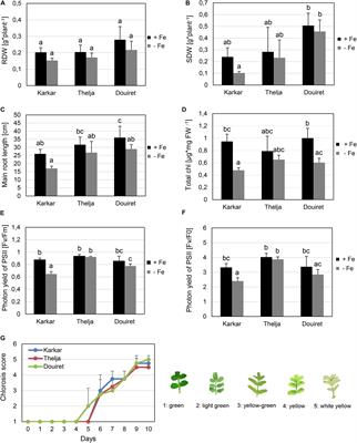 Natural Variation in Physiological Responses of Tunisian Hedysarum carnosum Under Iron Deficiency